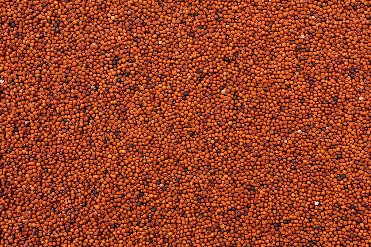 International Millets Supplier in India