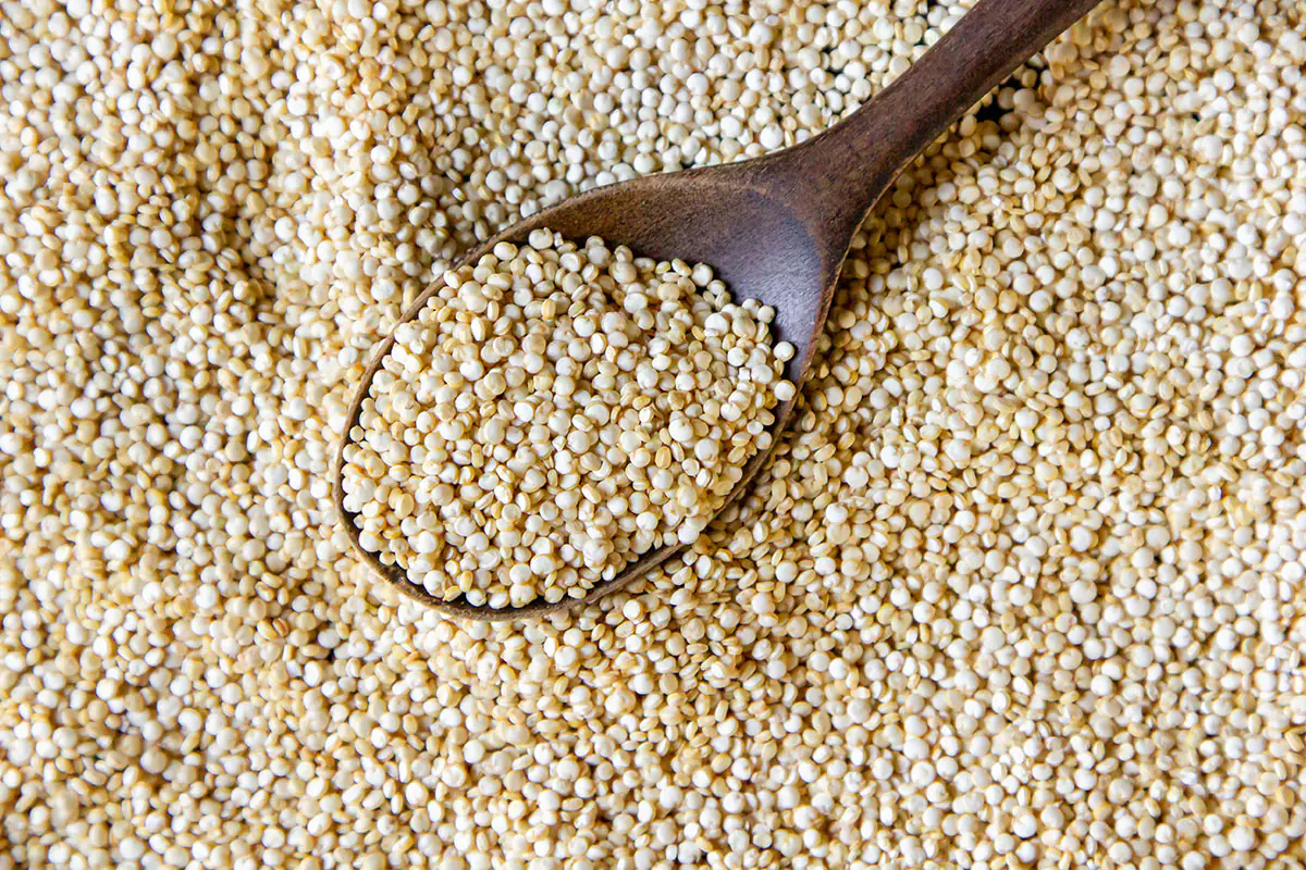 International Millets Supplier in India