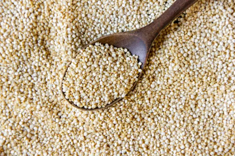Proso Millets